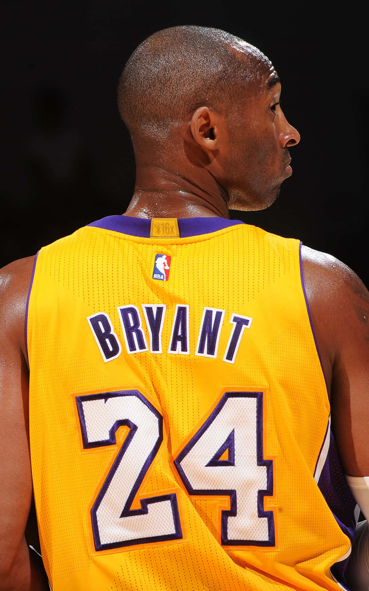Legendary Kobe Bryant Stands Above The Rest Wallpaper