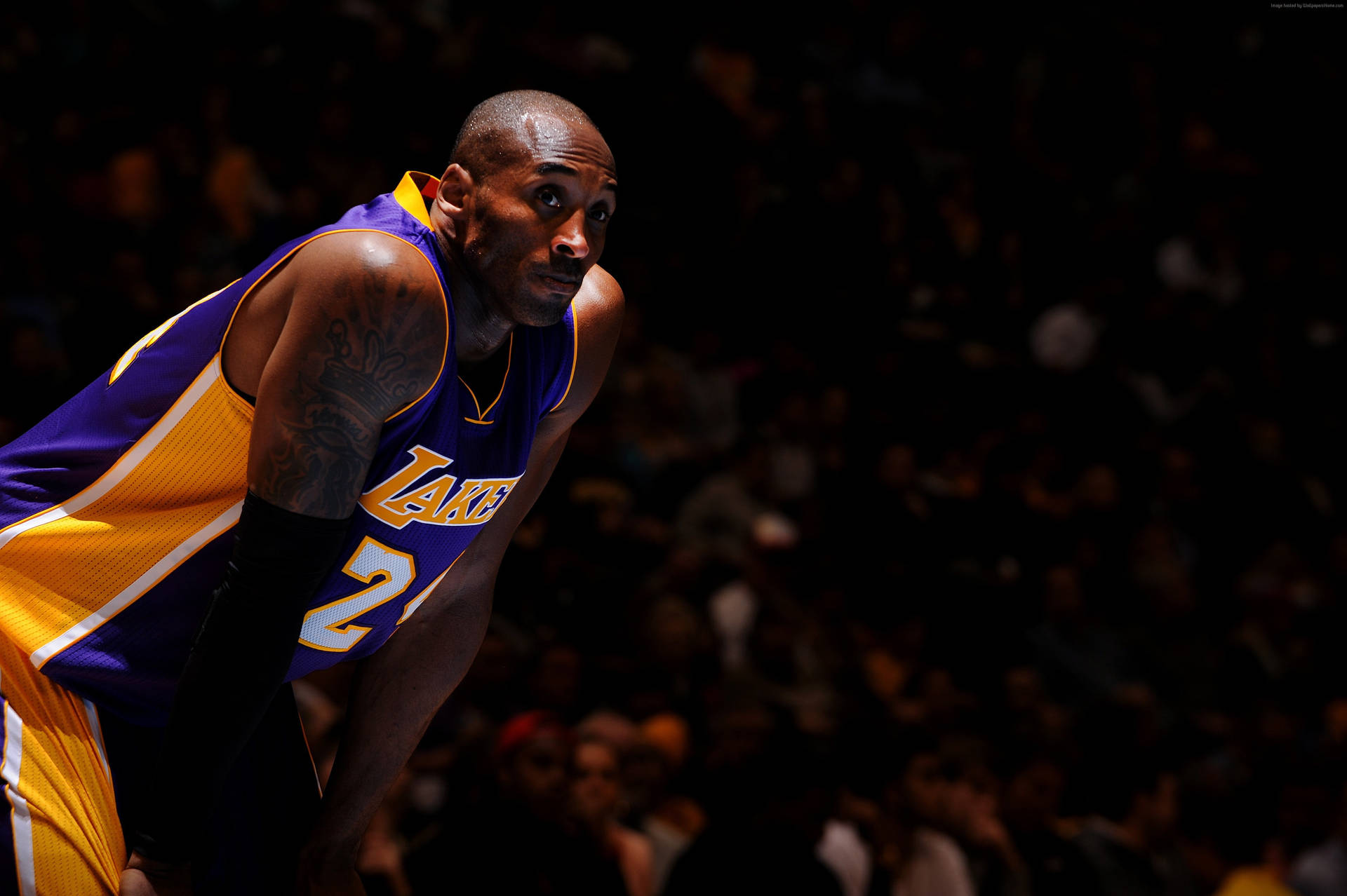Kobe Bryant Holding Knees NBA Desktop Wallpaper