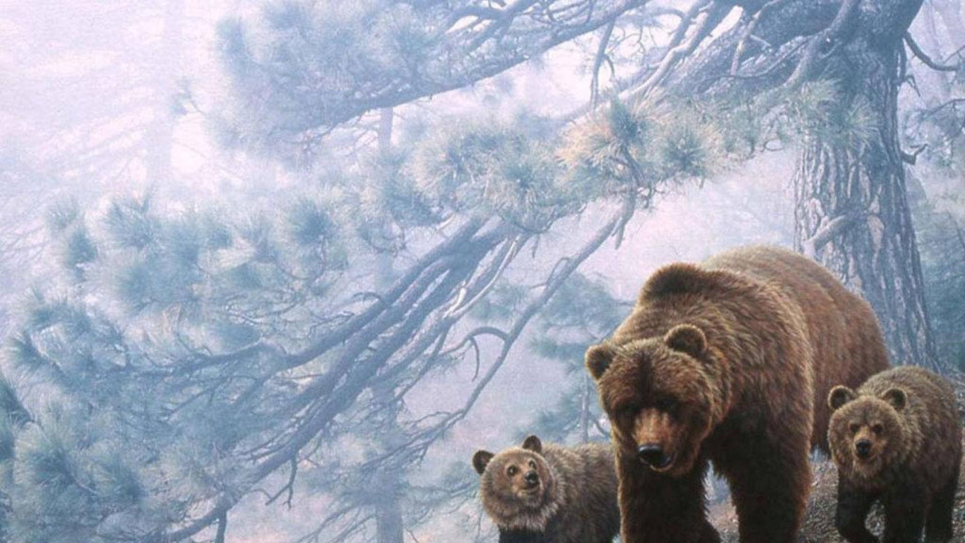 Kodiak Bear Family Painting