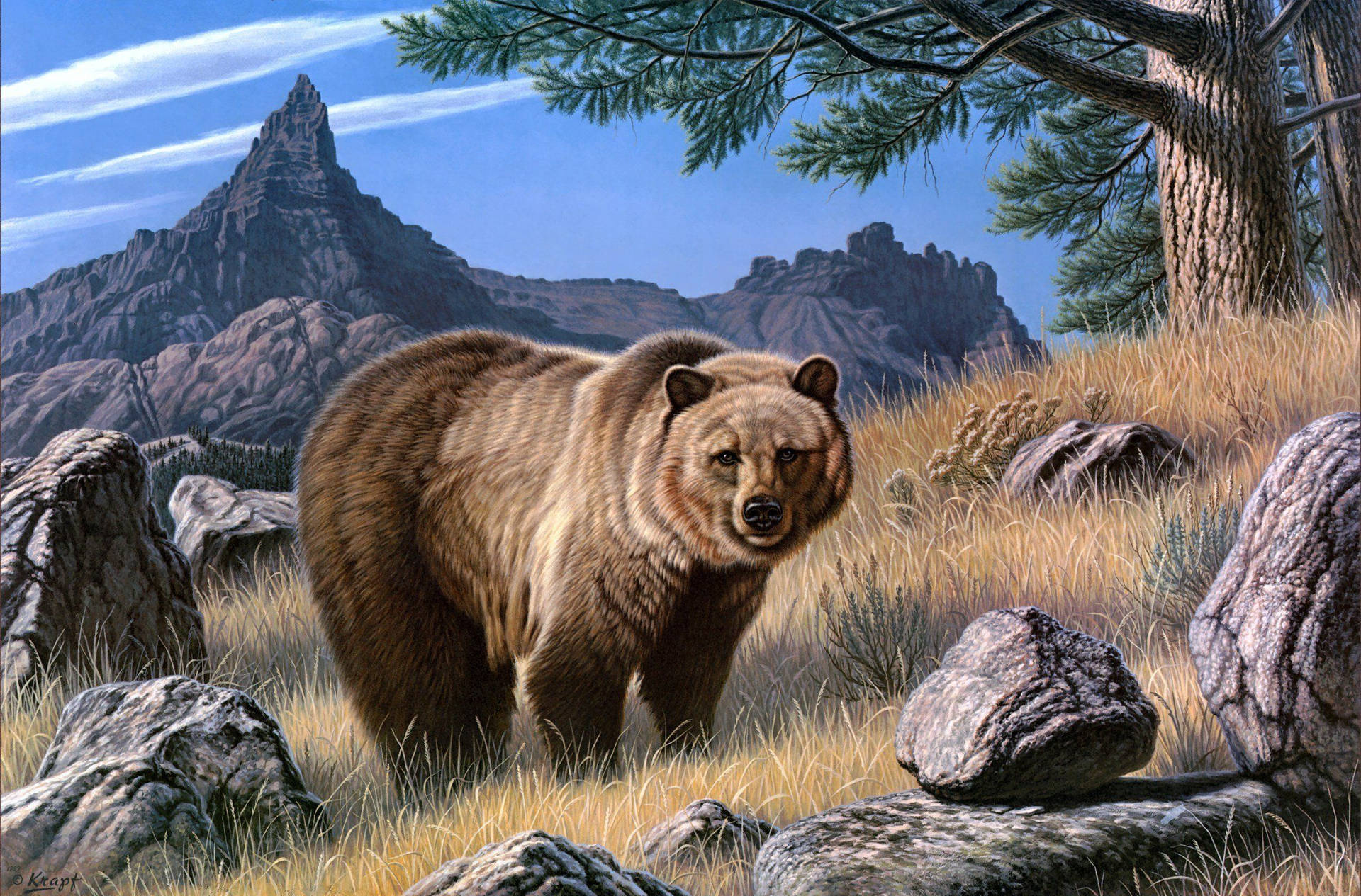 Kodiak Bear On Forest