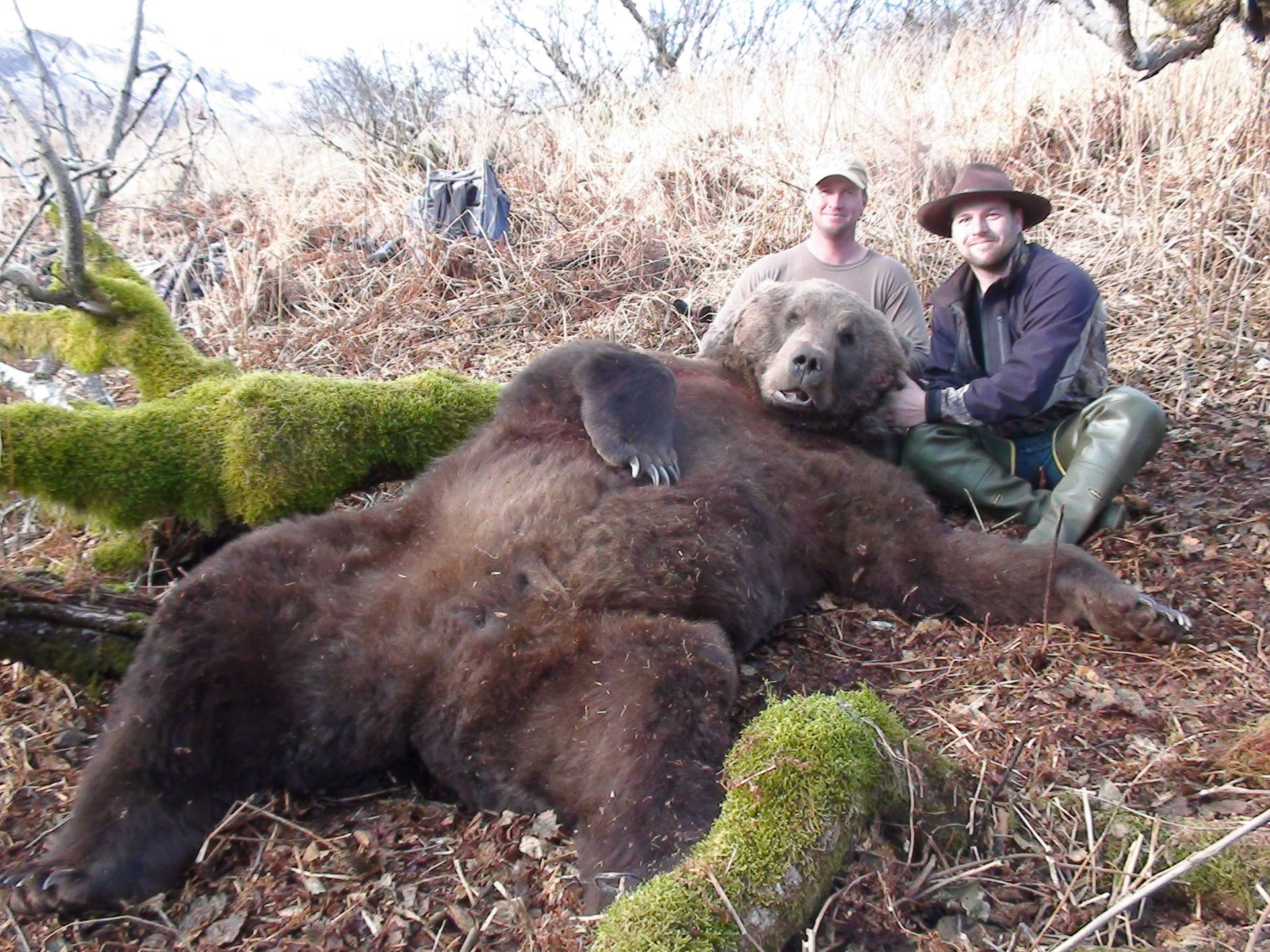 Kodiak Bear With Hunters