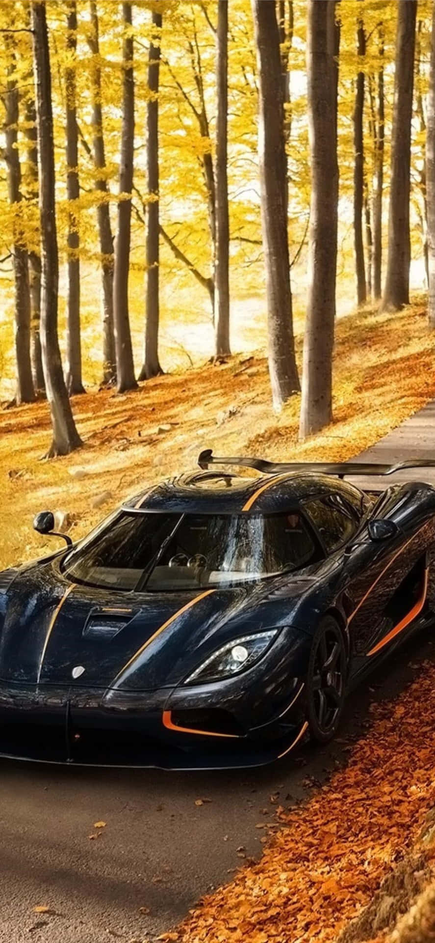 En sort sportsvogn er parkeret i skoven Wallpaper