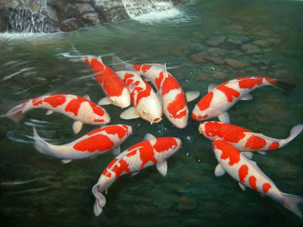 A Painting Of Koi Fish Swimming In A Pond