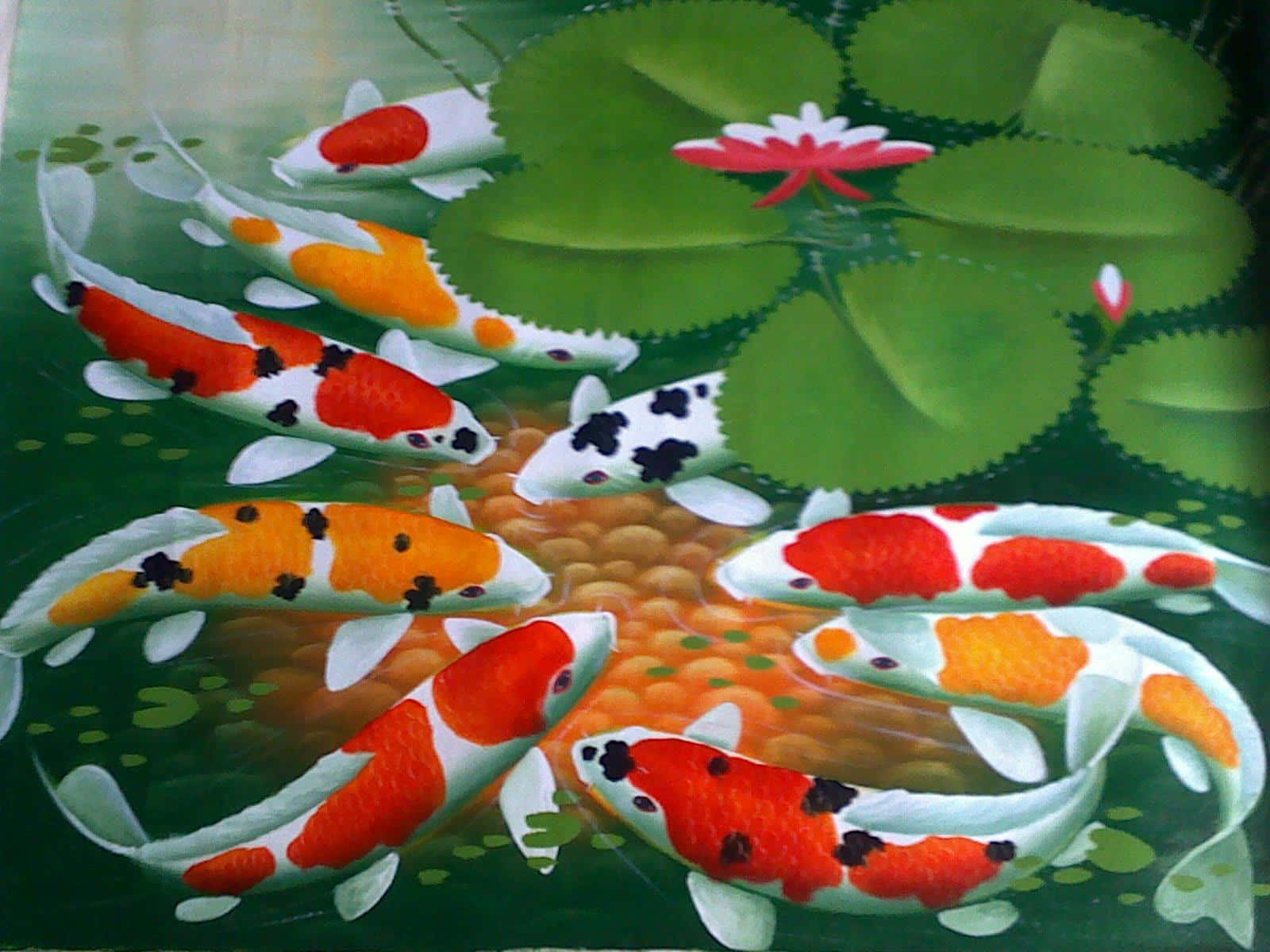 Koi fish swimming gracefully in a clear pond