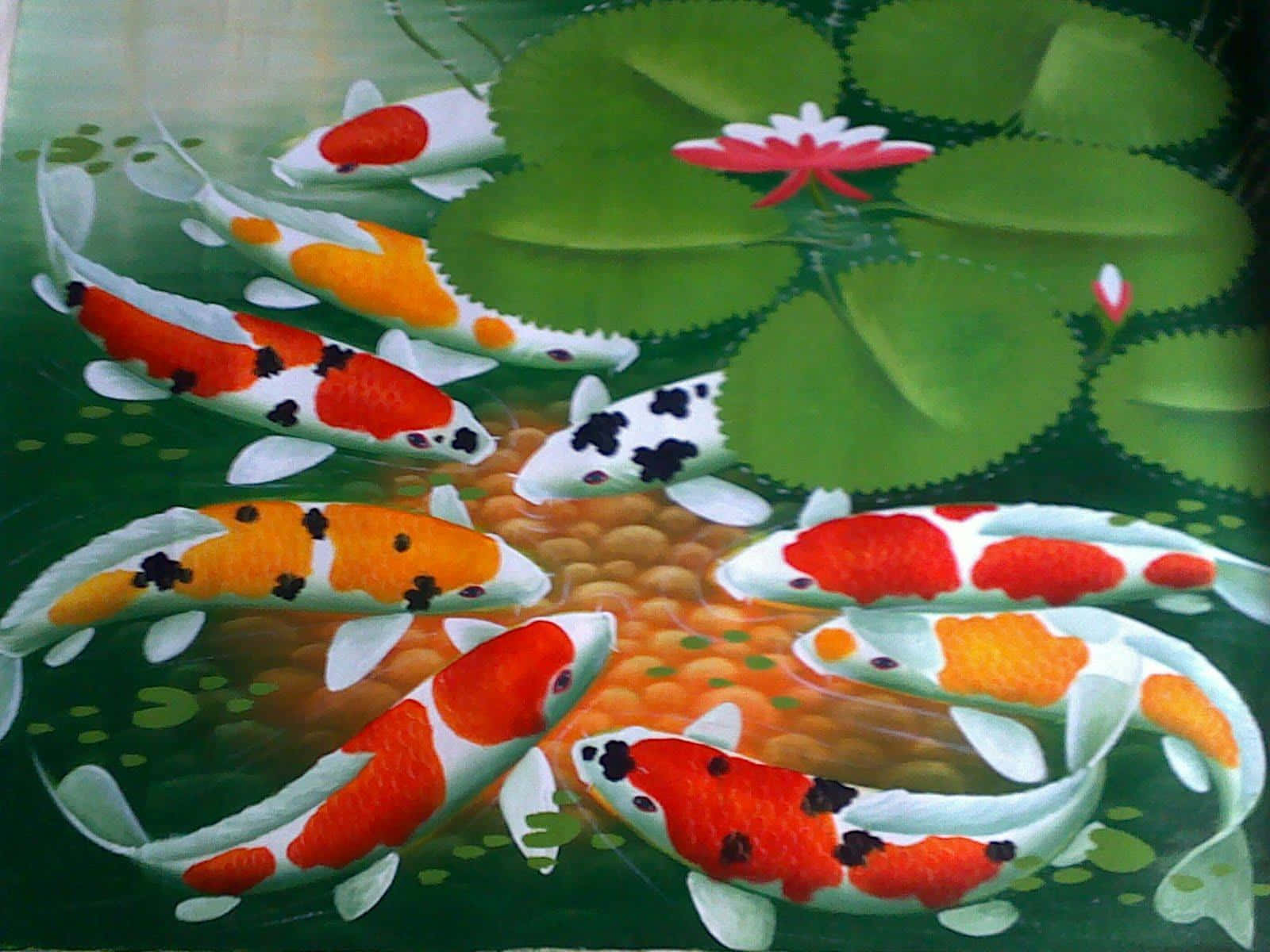 Orange and black koi swimming in a peaceful pond
