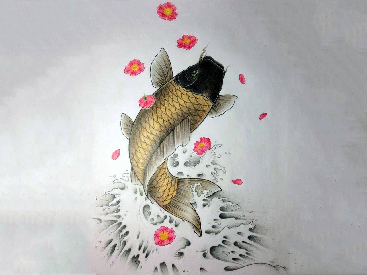 Koi Fish Leap Wallpaper