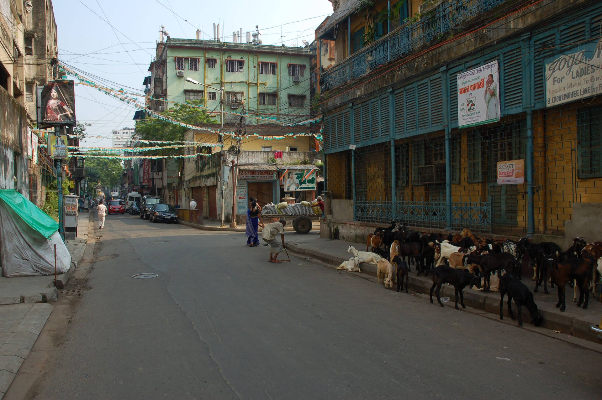 Viajede Cabras En Kolkata Fondo de pantalla