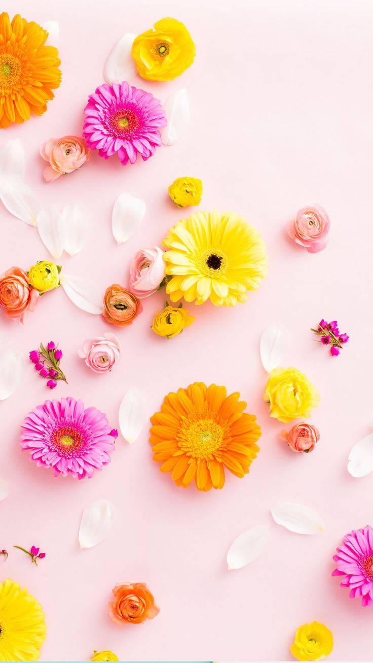 Kontrasterende Farverige Floral Iphone Wallpaper
