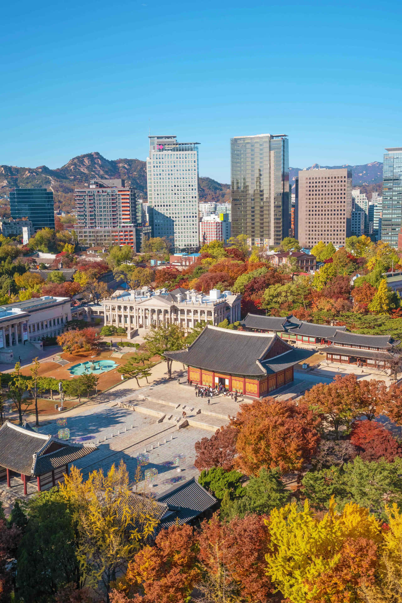 Explore the Beauty of South Korea