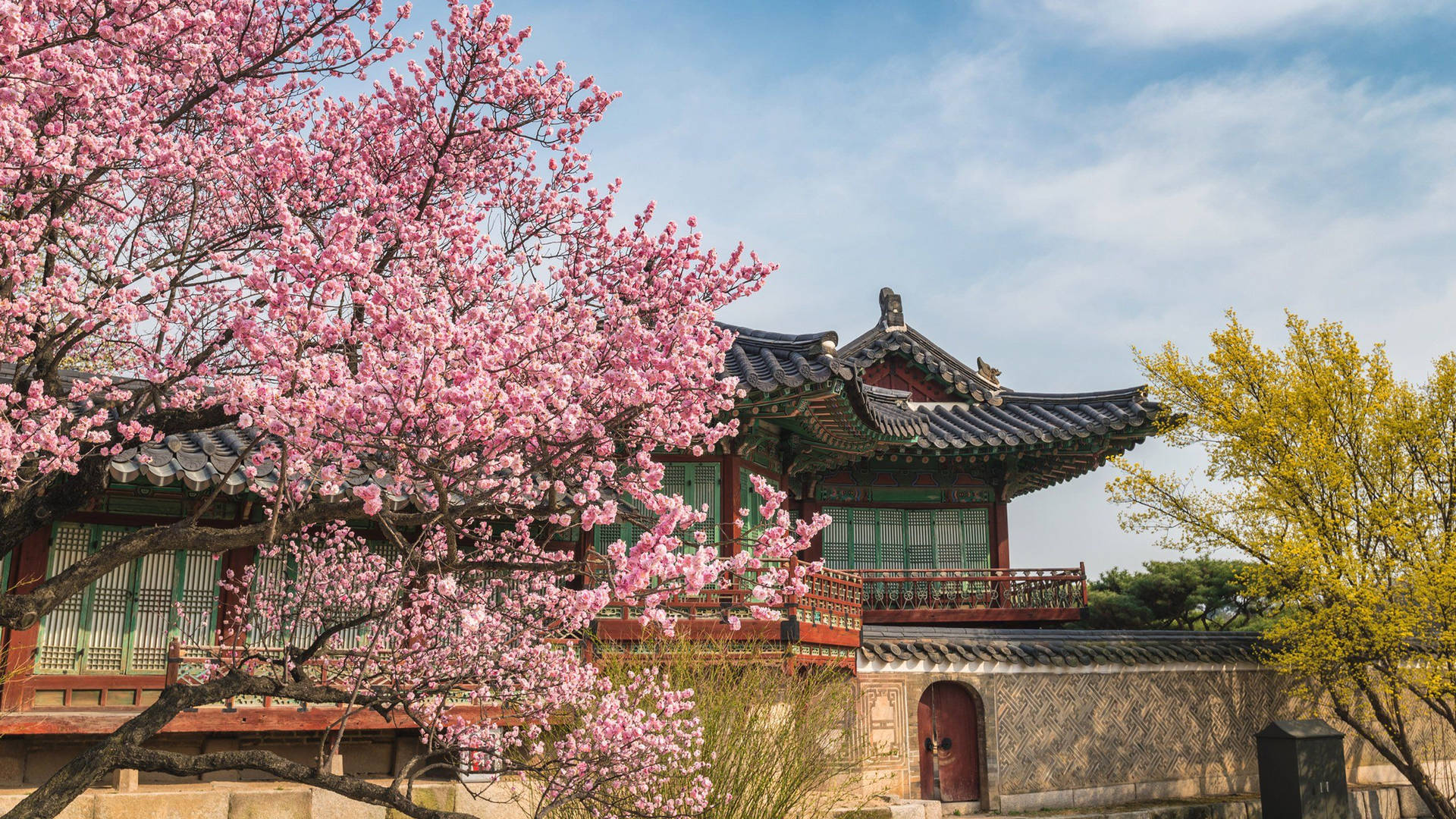 Puntodi Riferimento Culturale Della Corea Durante La Primavera Sfondo