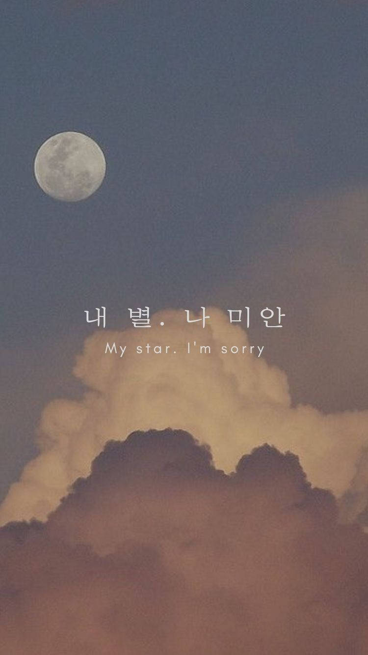 Korean Aesthetic Apology Quote Wallpaper