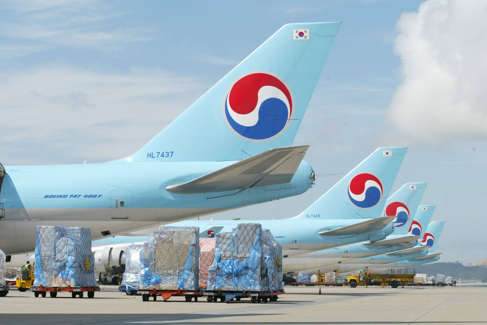 Logodella Compagnia Aerea Korean Air Sfondo
