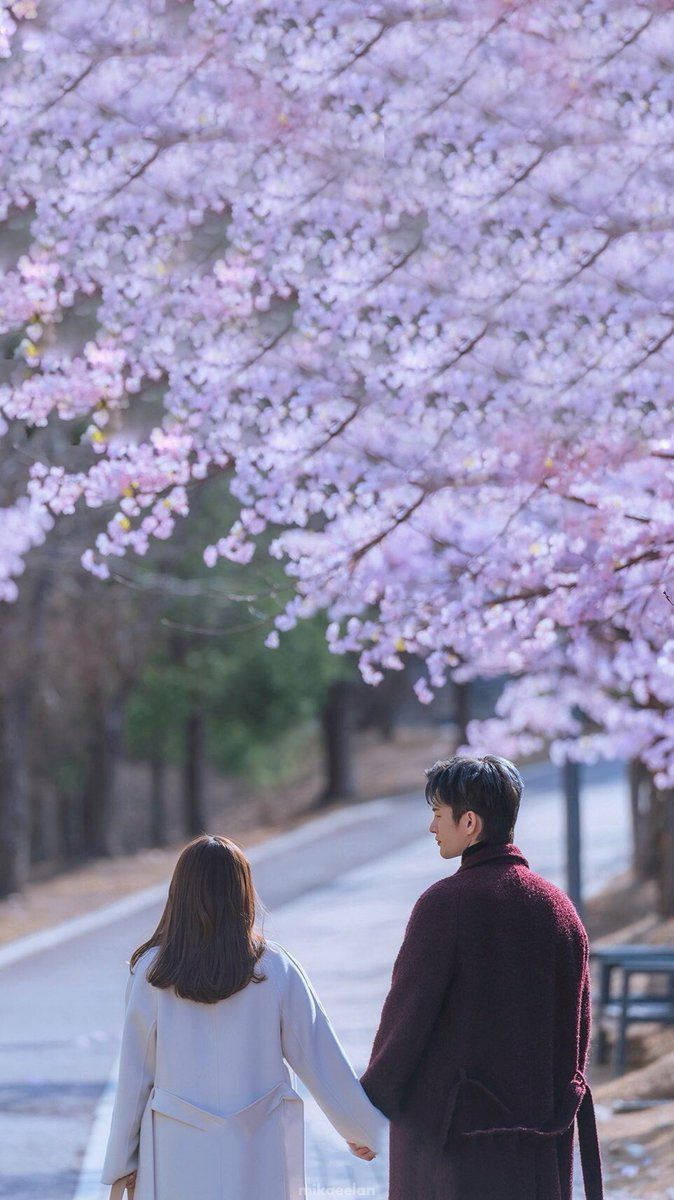 Korean Couple Holding Hands Under Cherry Blossom Wallpaper