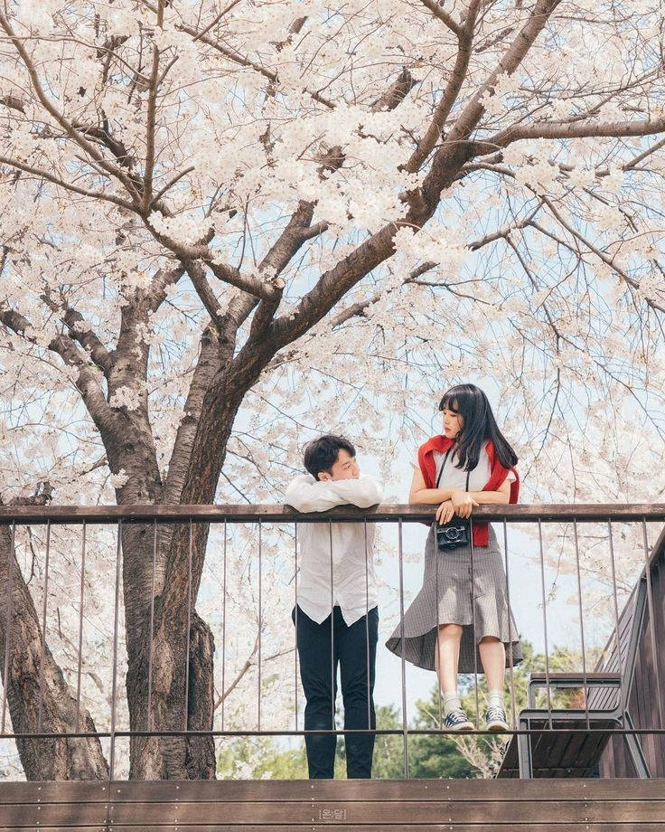 Koreansk par på terrassen Wallpaper