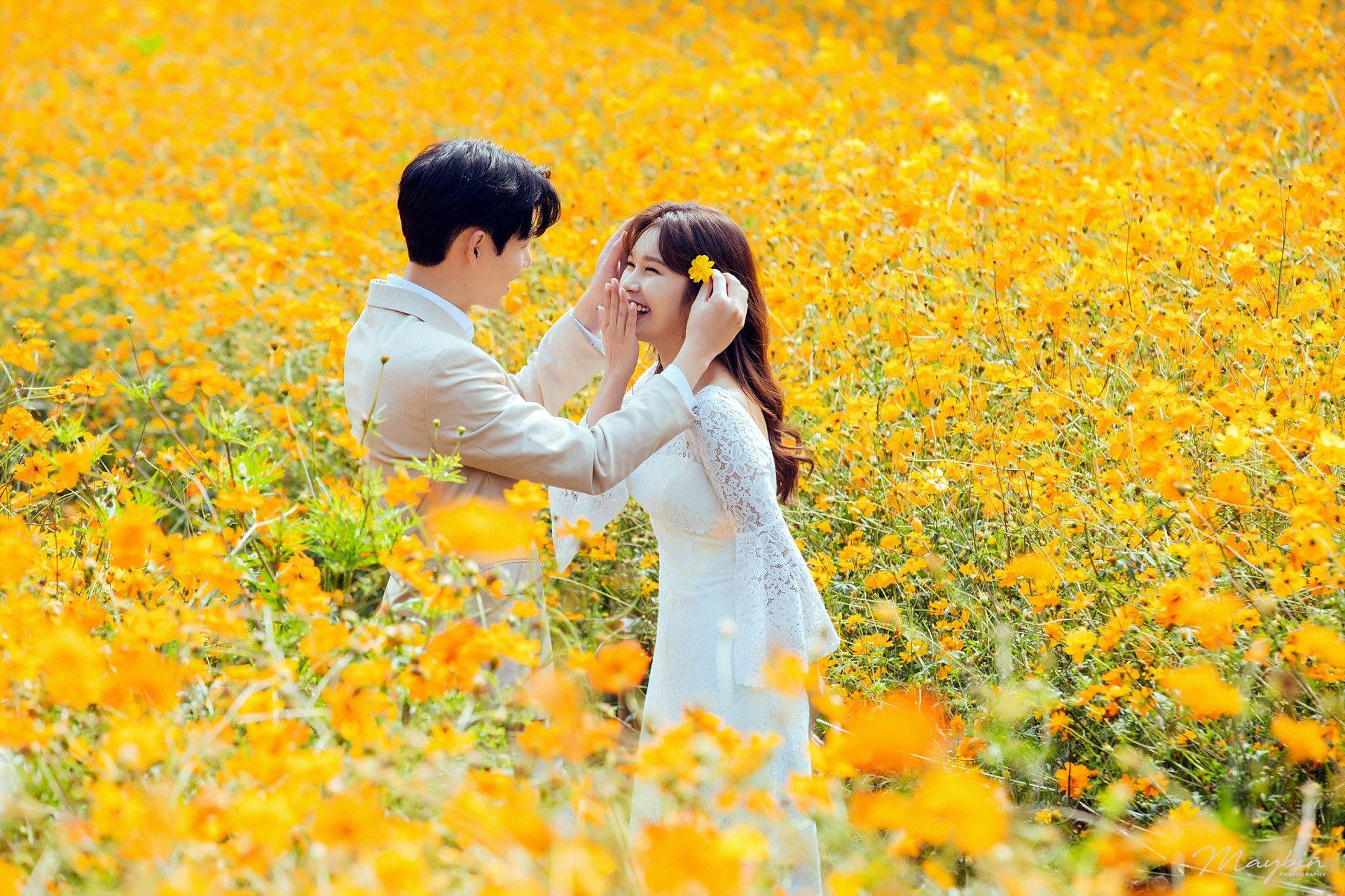 Korean Couple On Yellow Flower Field Wallpaper