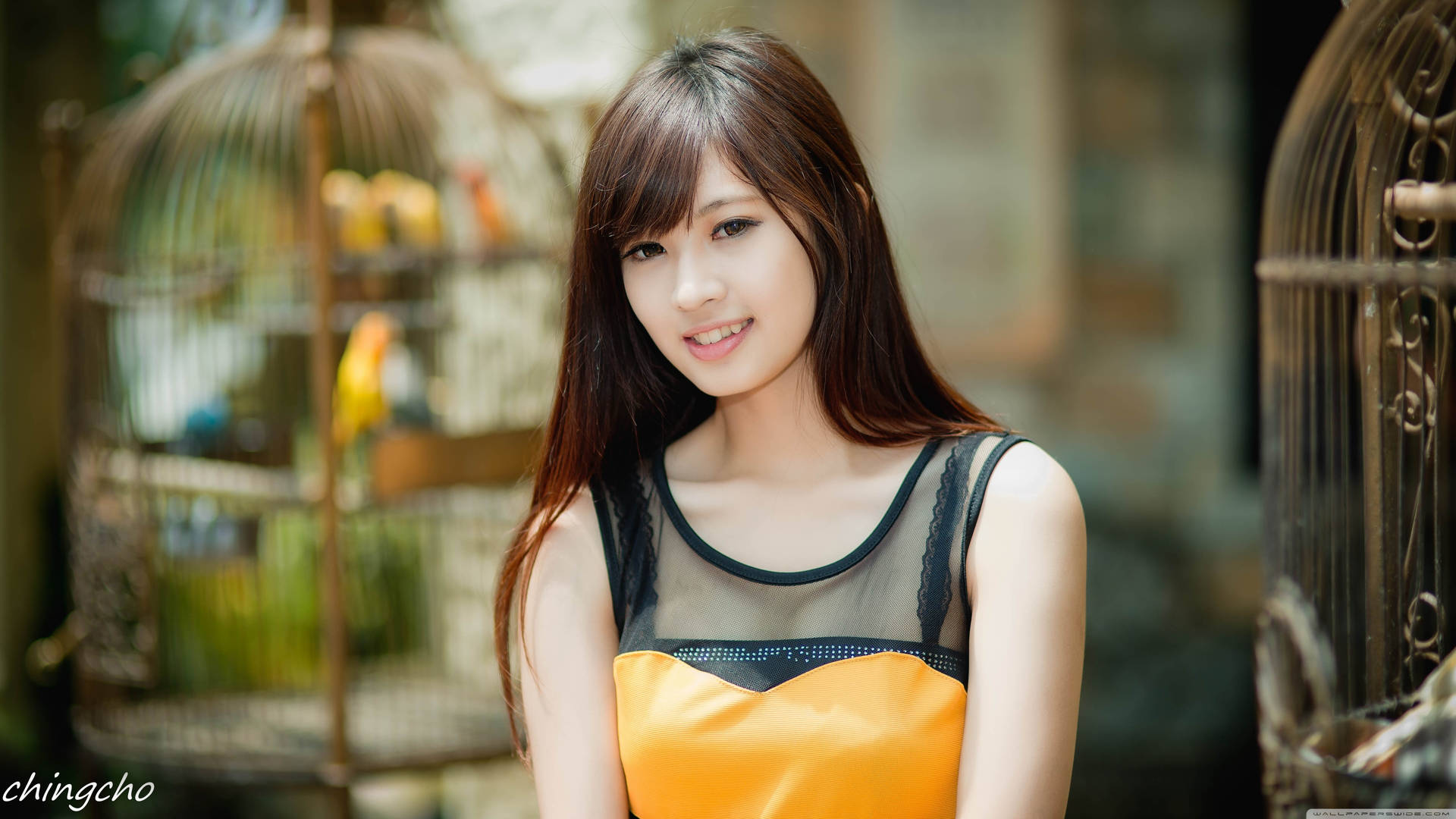 Chicacoreana Con Vestido De Malla Amarillo. Fondo de pantalla