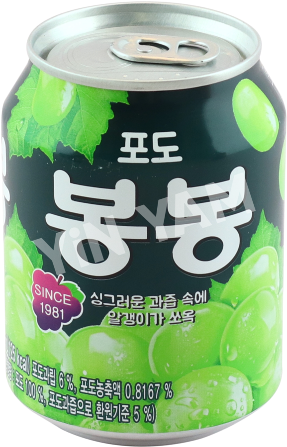 Korean Grape Flavored Drink Can1981 PNG