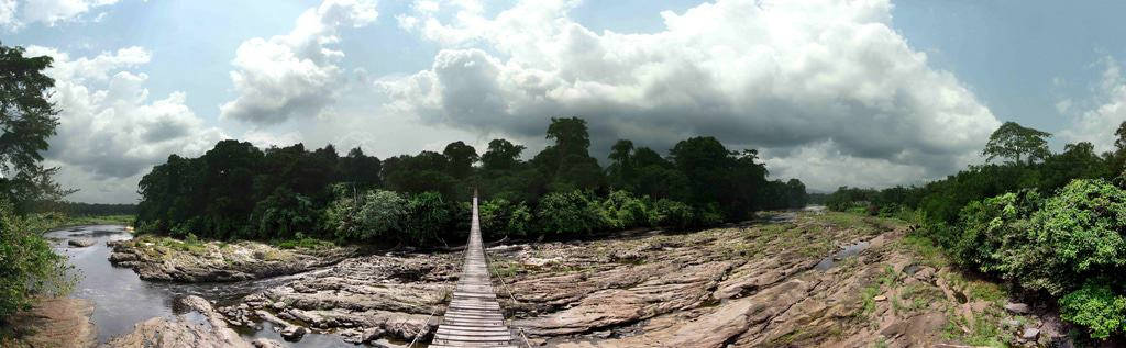 Korup National Park Cameroon Rich Rainforest Wallpaper