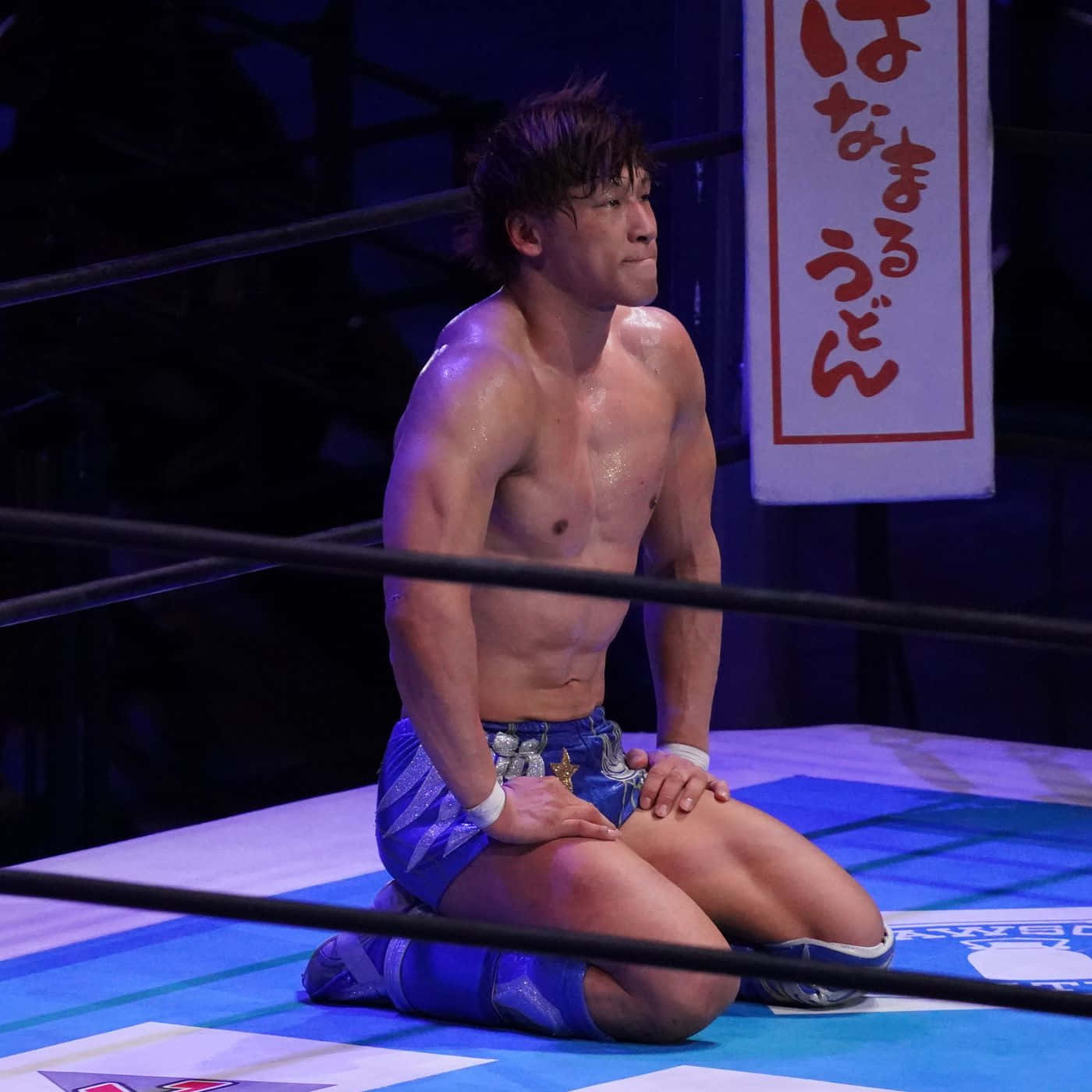 Kotaibushi Sentado En Posición De Seiza En El Ring. Fondo de pantalla