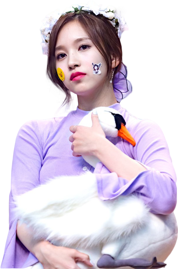 Download Kpop Star With Stuffed Swan | Wallpapers.com