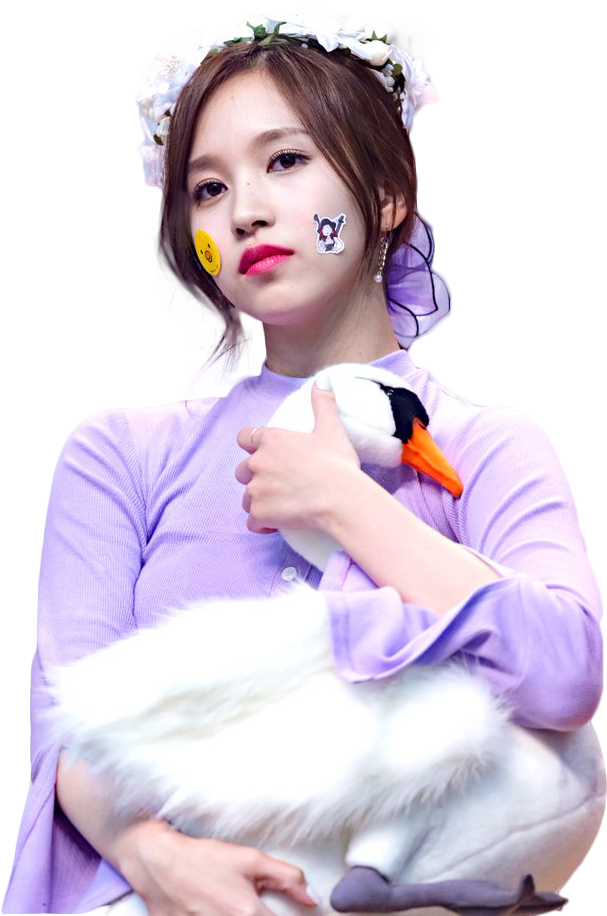 Kpop Star With Stuffed Swan PNG