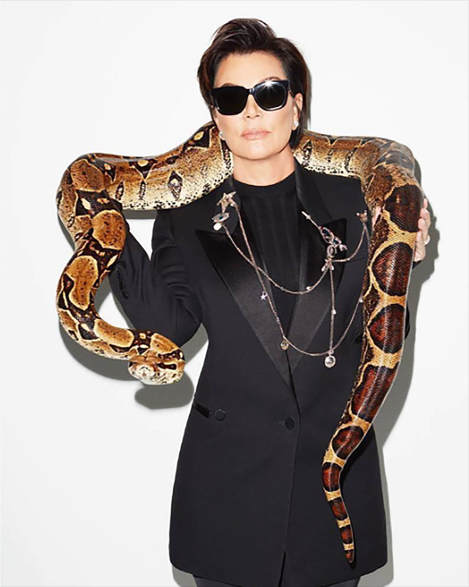 Kris Jenner With Snake Wallpaper