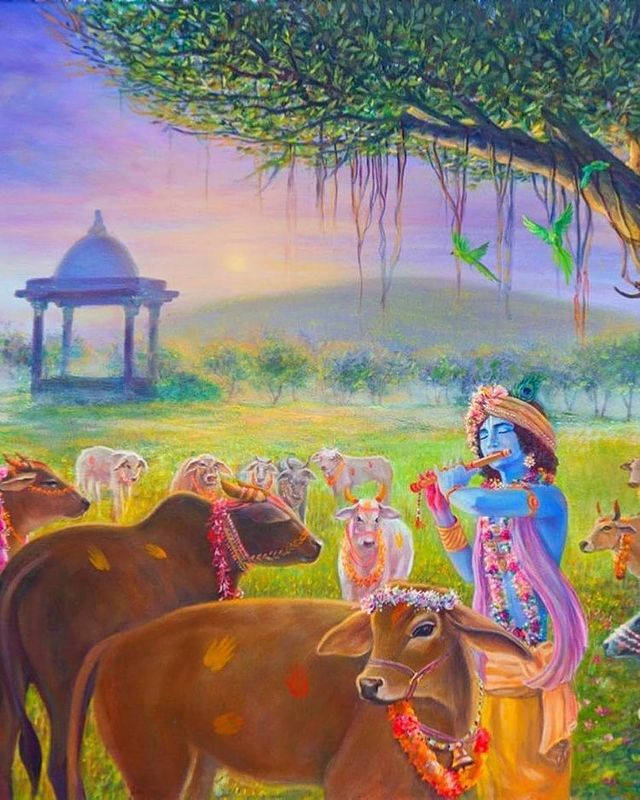 Krishnahd Cow Garland Would Be Translated To 