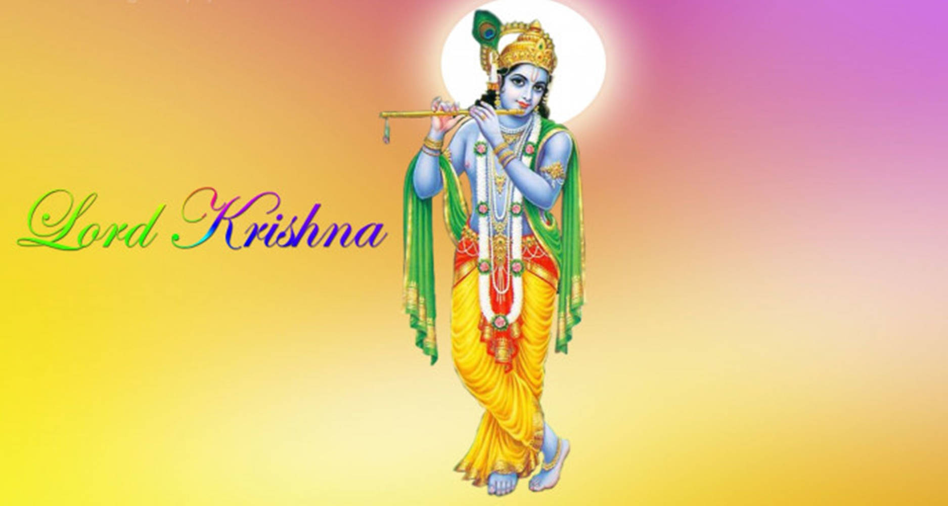 Devoteeche Celebra Krishna Janmashtami Sfondo