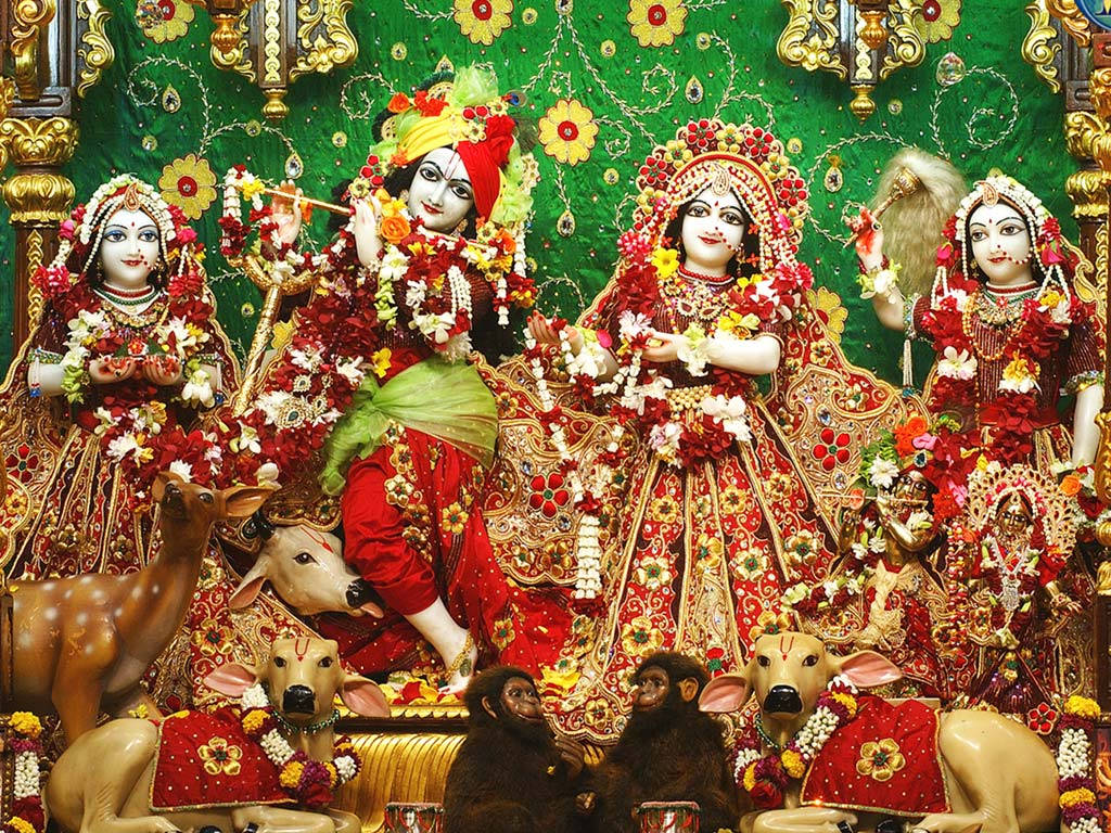 Krishna med sine tre konkubiner i ISKCON Temple skaber en smuk og opmuntrende baggrund. Wallpaper