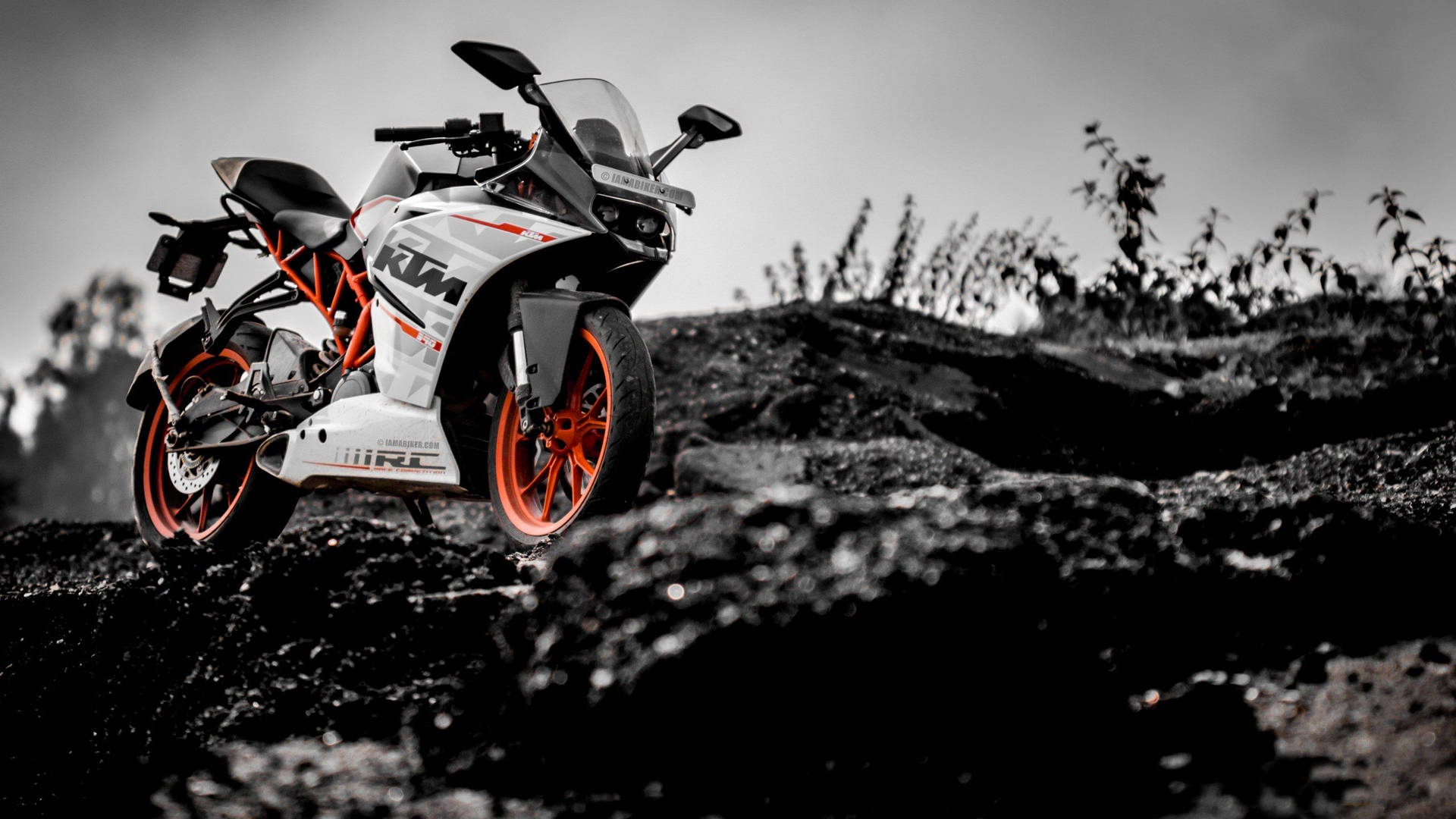 White KTM RC 390 HD KTM Wallpapers  HD Wallpapers  ID 64087