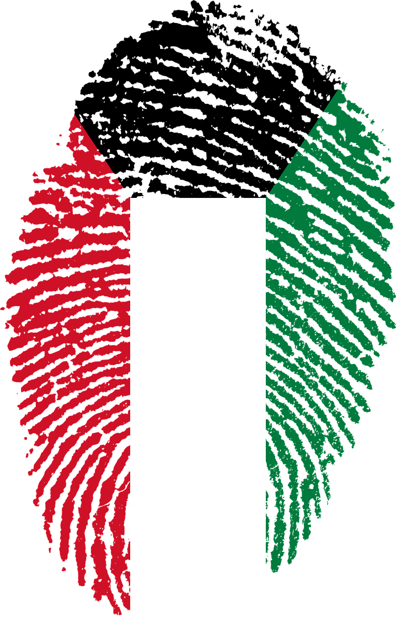 Kuwait Fingerprint Flag Art PNG