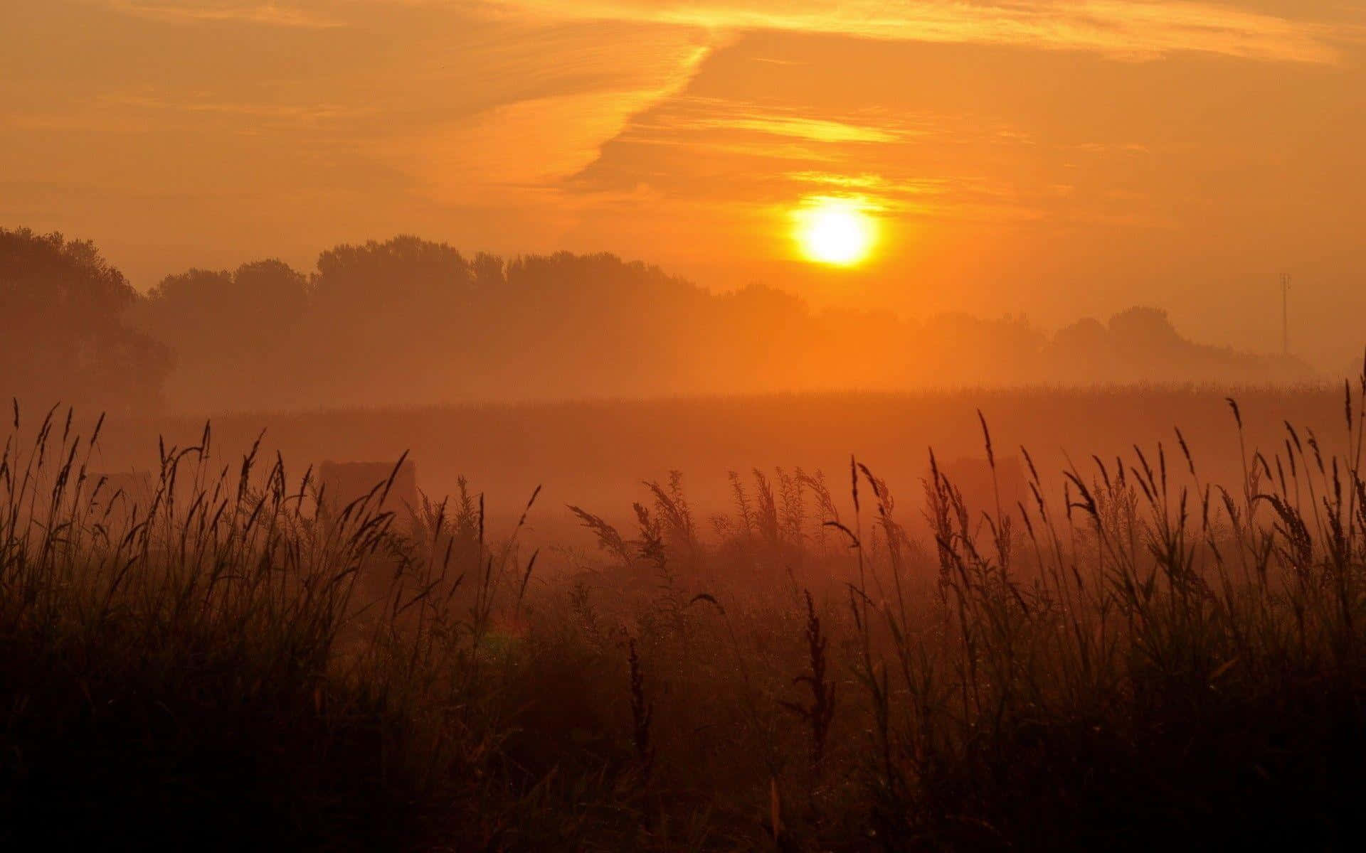 Kväll1920 X 1200 Bakgrund