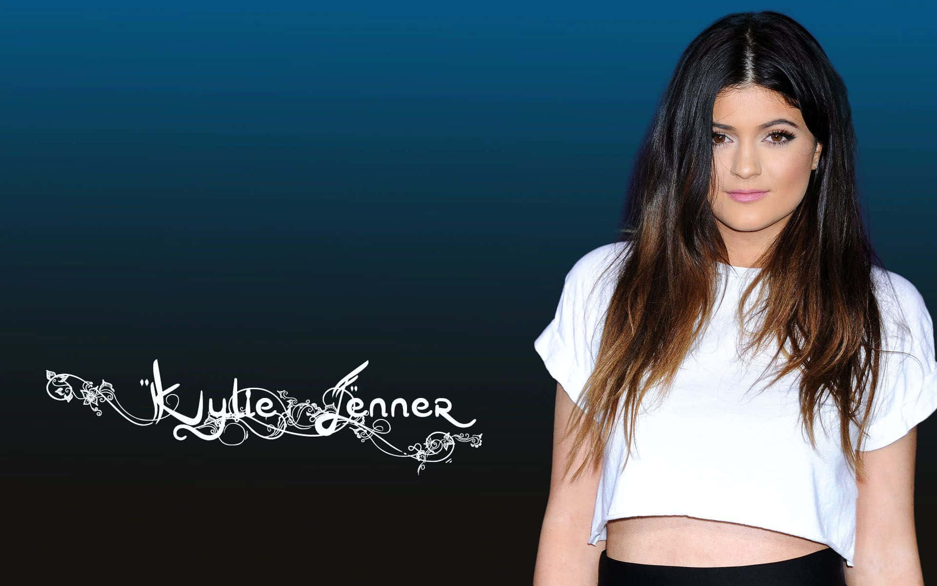 "Kylie Jenner strikes a pose in her signature style."