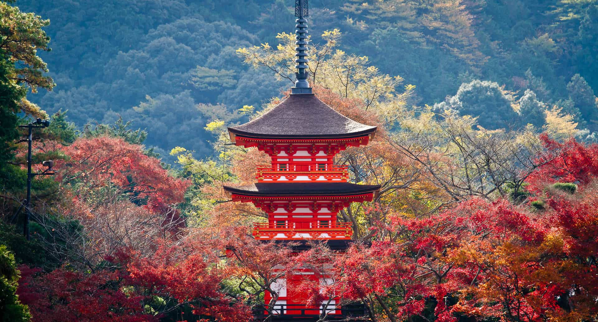 Kyoto Koyasu Pagoda Udsigt: Fremhæv dit bureaulogin med det smukke landskab af den berømte pagode i Kyoto. Wallpaper