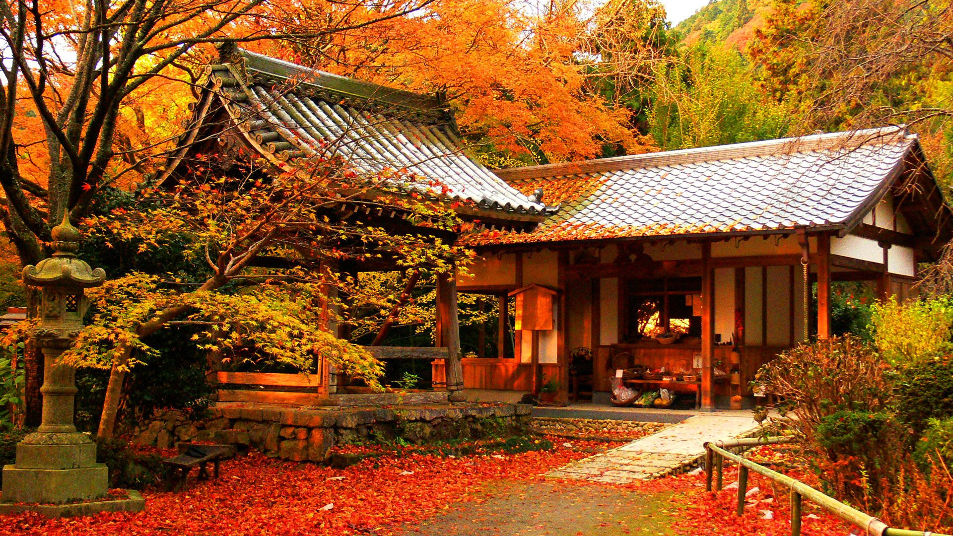 Kyoto Maple House Wallpaper