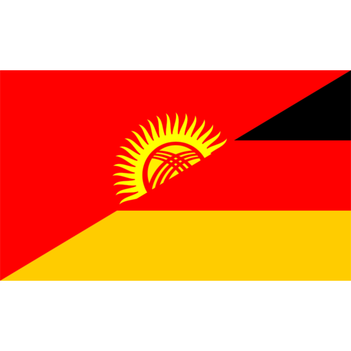 Kyrgyzstan Flag Graphic PNG