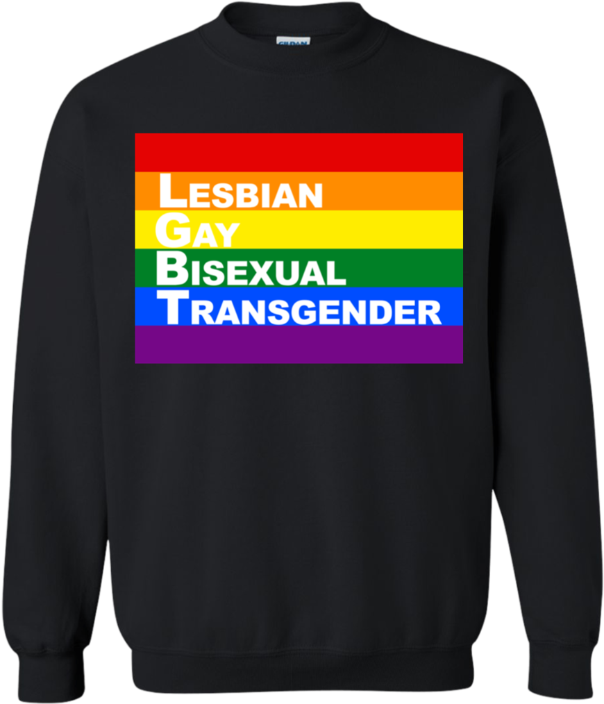 L G B T Q Rainbow Sweatshirt PNG