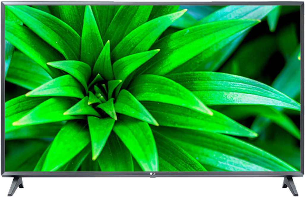 L G T V Green Plant Display PNG