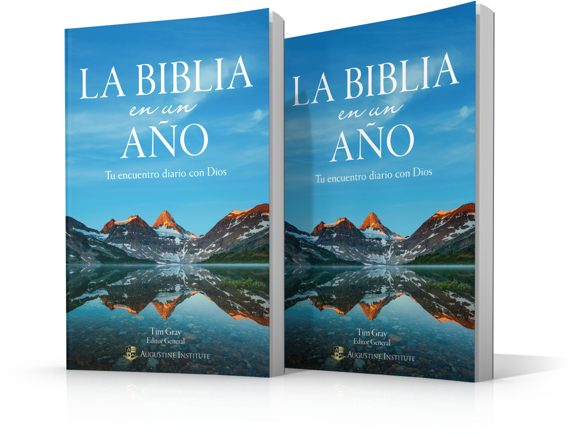 La Bibliaenun Ano Book Cover PNG