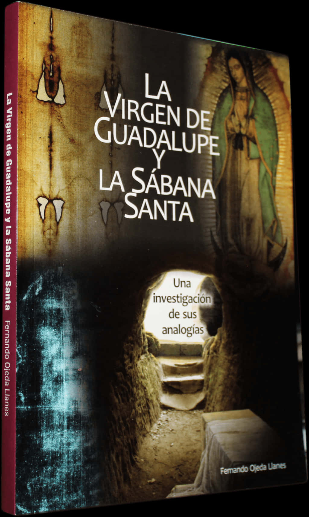 La Virgen De Guadalupey La Sabana Santa Book Cover PNG
