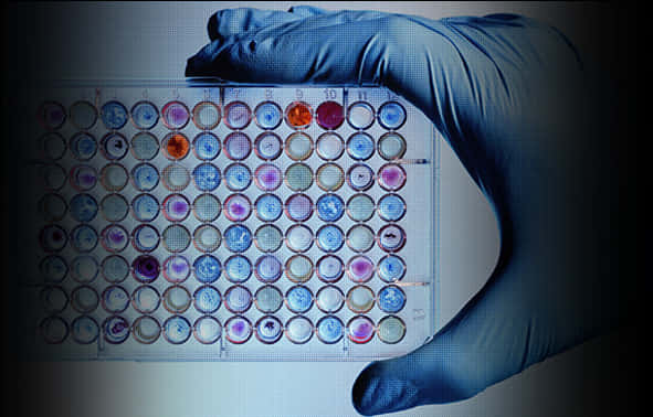 Laboratory Microplate Assay Analysis PNG