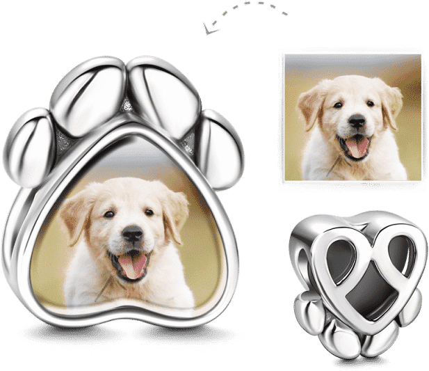 Labrador Puppy Paw Print Charms PNG