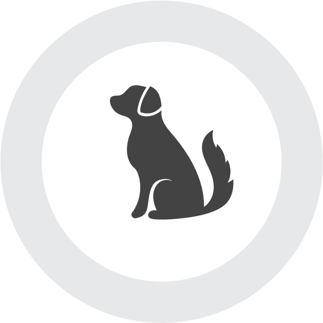 Labrador Silhouette Graphic PNG