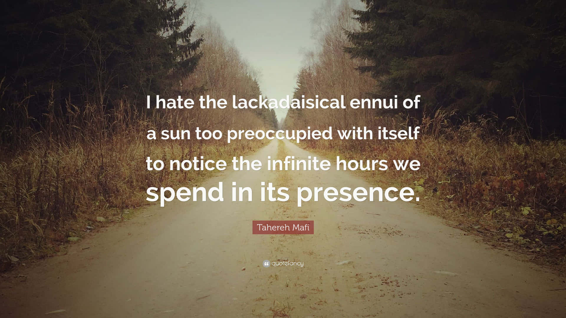 Lackadaisical Ennui Quote Forest Road Wallpaper