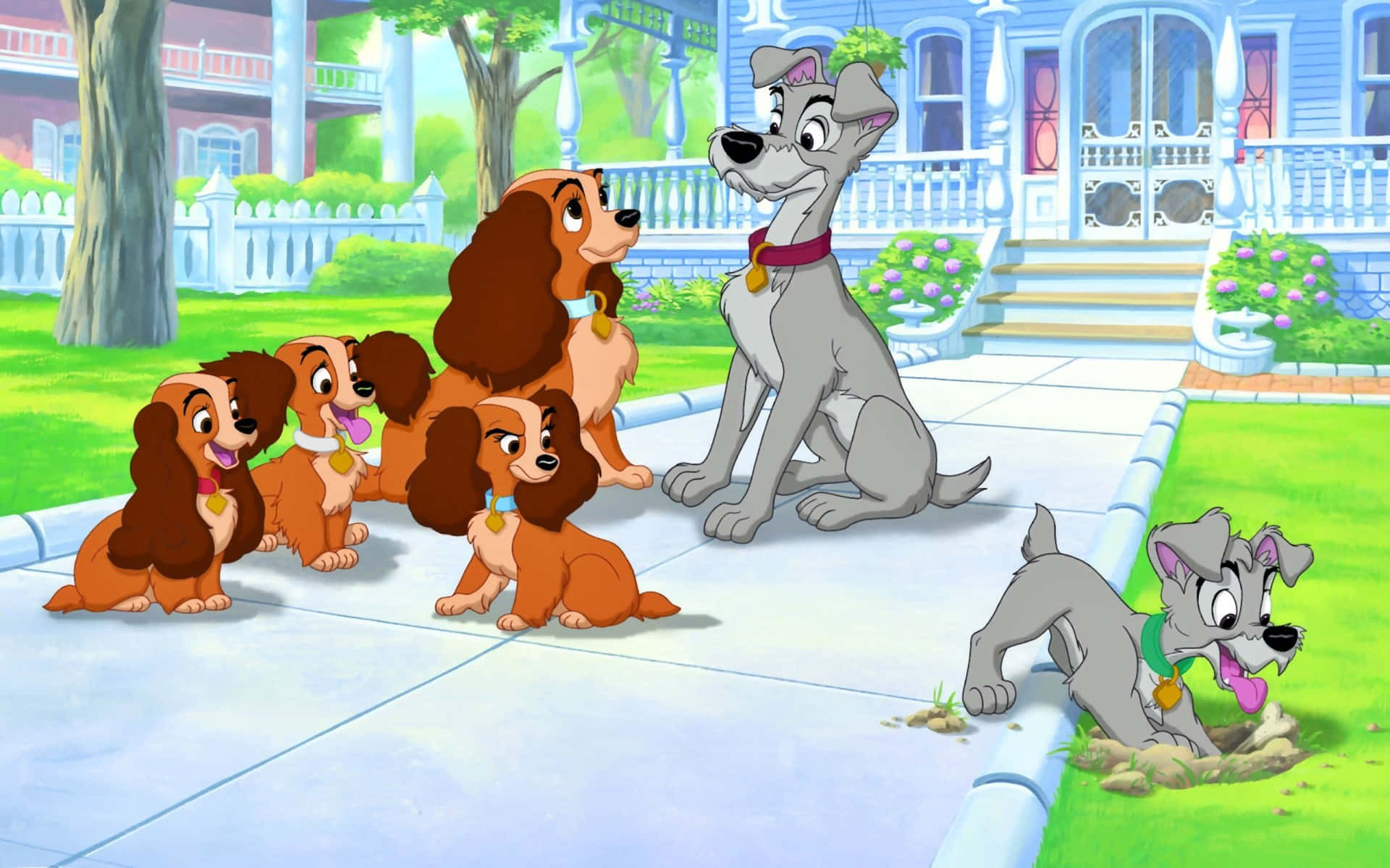 A beautiful moment shared between Lady and the Tramp in an iconic scene Wallpaper