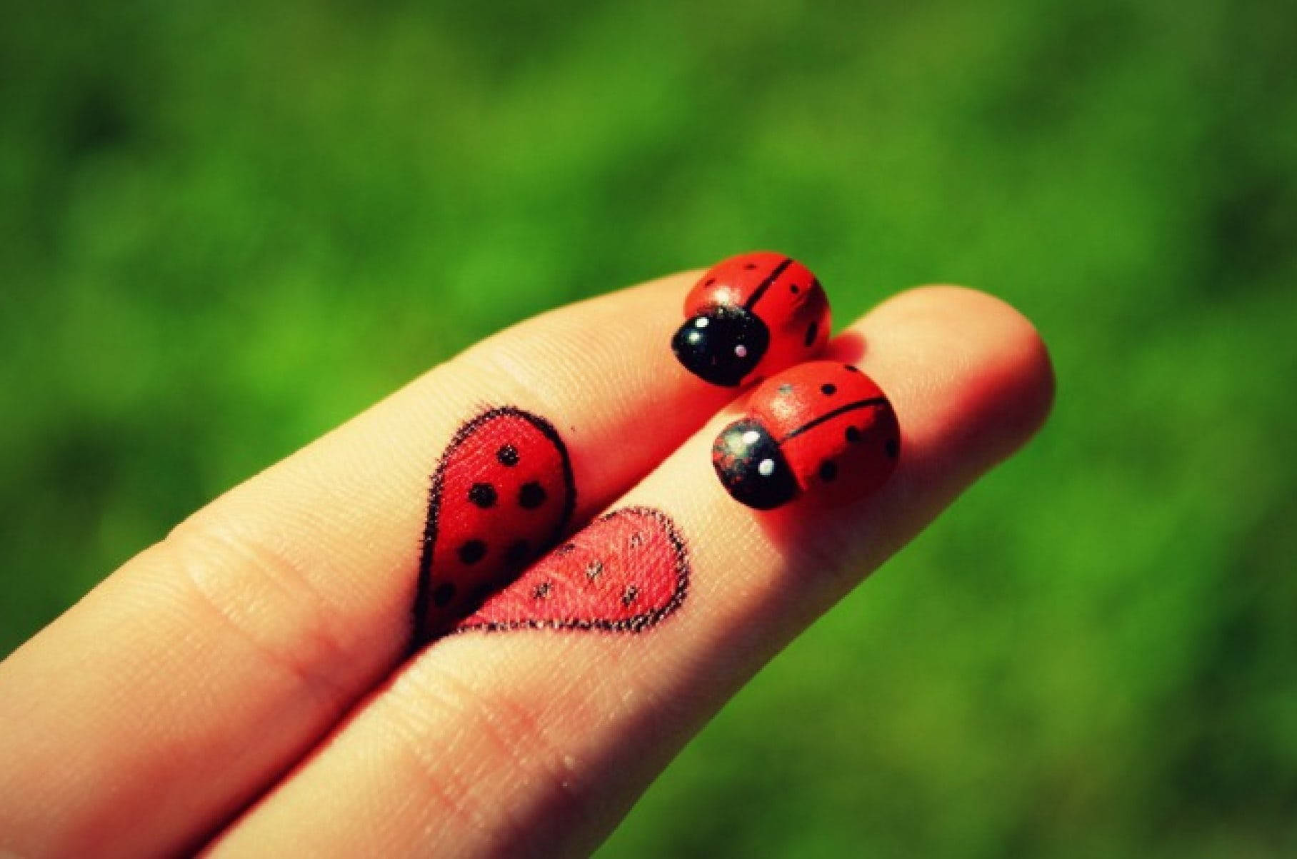 Lady Bugs And Finger Heart Wallpaper