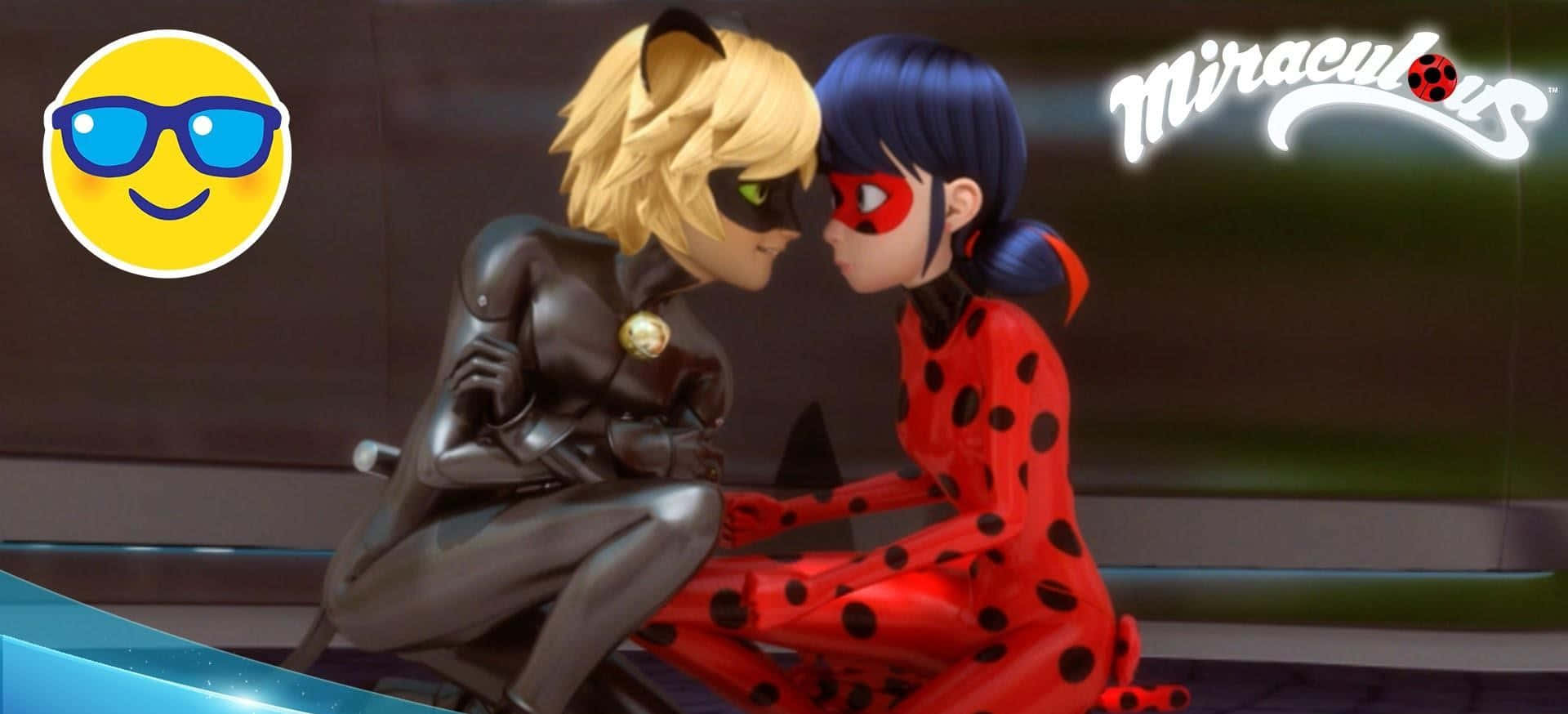 Miraculous Ladybug and Chat noir Picture