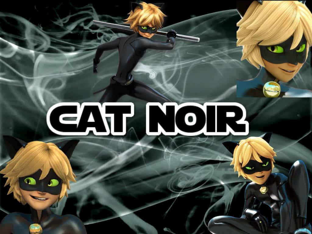 Mariquitaog Cat Noir: Bekæmper Kriminalitet Og Beskytter Paris.