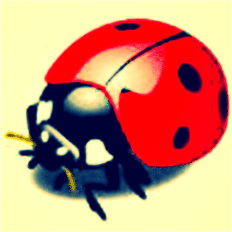 Ladybug Beetle I Gul Og Sort Vertikale Striber Wallpaper
