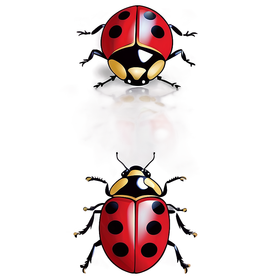 Ladybug Drawing Simple Png 05242024 PNG